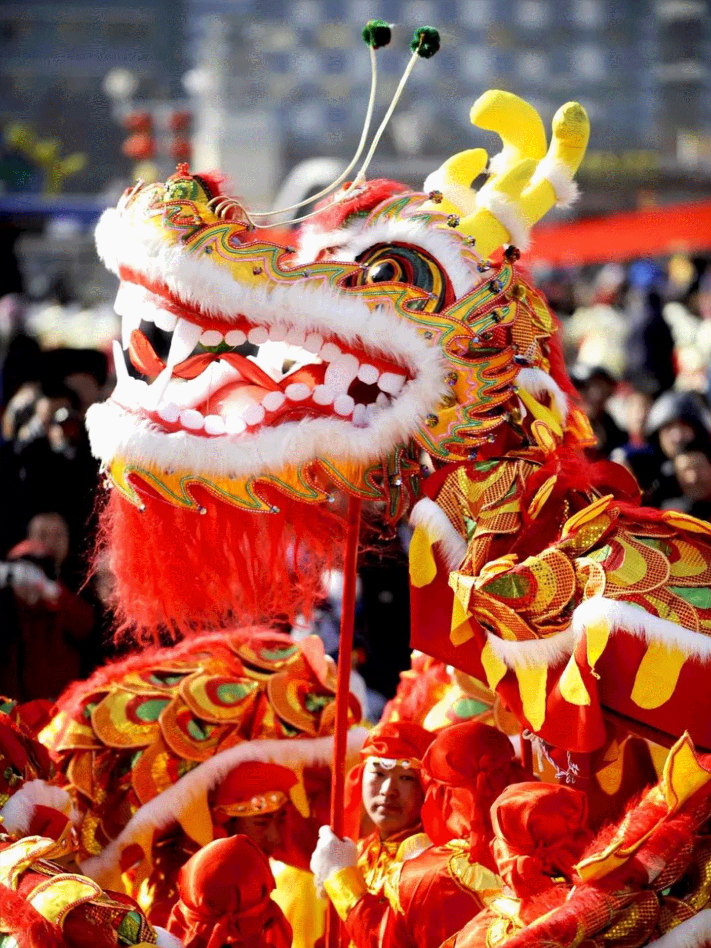 头图).gif